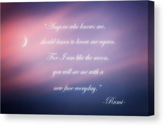 Rumi Canvas Print featuring the photograph A new face by Bill Wakeley