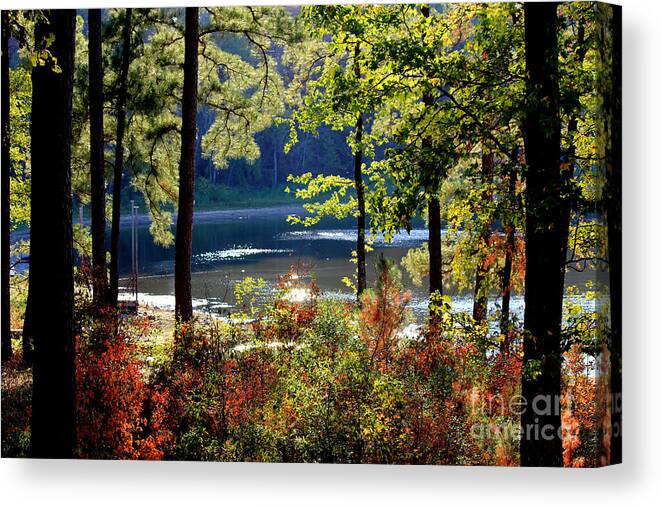 Fall Leaves Canvas Print featuring the photograph A Peek At Lake O The Pines by Kathy White