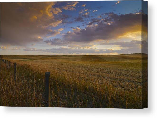 Farming Canvas Print featuring the photograph A Prairie Sunset by Bill Cubitt