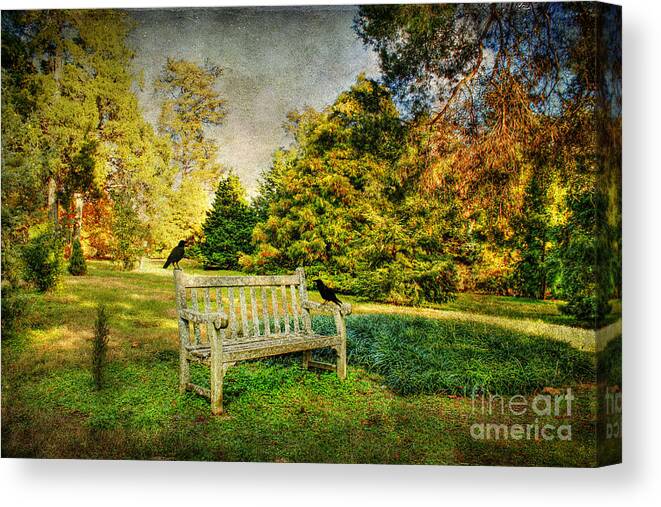 Crow Canvas Print featuring the photograph A Resting Place by Darren Fisher