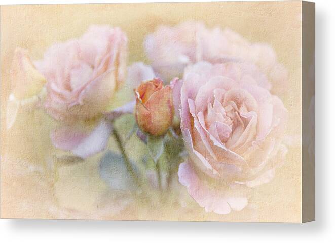 Blossoms Canvas Print featuring the photograph A Rose By Any Other Name by Theresa Tahara