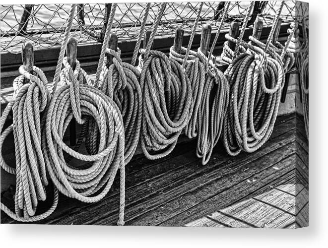 Black And White Canvas Print featuring the photograph A row of circular lines by Marianne Campolongo