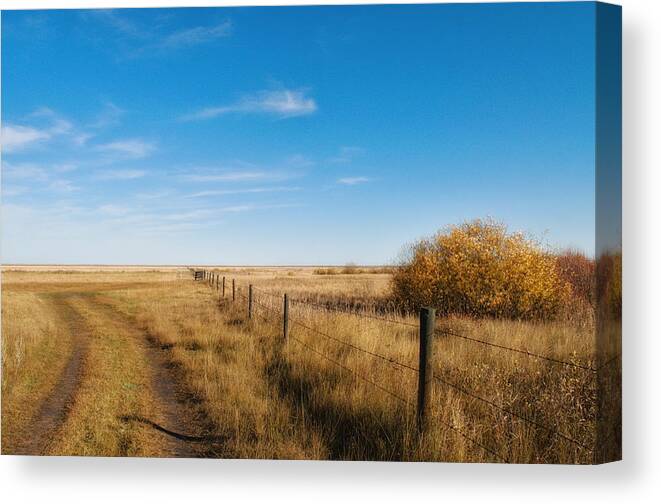 Rural Canvas Print featuring the photograph A Simple Fence by Allan Van Gasbeck