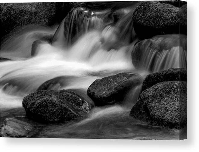 B&w Canvas Print featuring the photograph A Smokies Icon by Donald Brown