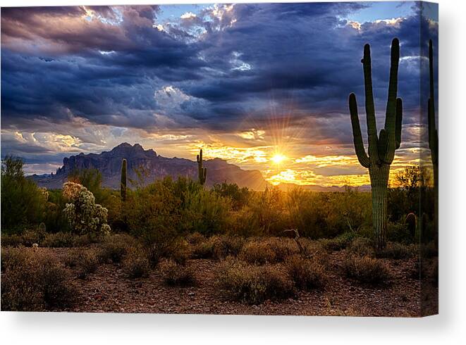 Sunrise Canvas Print featuring the photograph A Sonoran Desert Sunrise by Saija Lehtonen