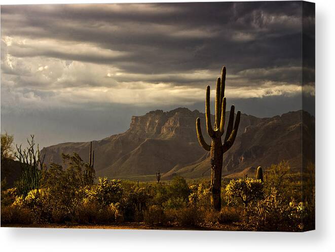 Saguaro Sunset Canvas Print featuring the photograph A Stormy Evening in the Superstitions by Saija Lehtonen