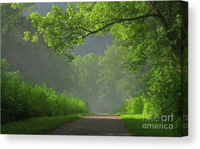 Trees Canvas Print featuring the photograph A Touch of Green II by Douglas Stucky