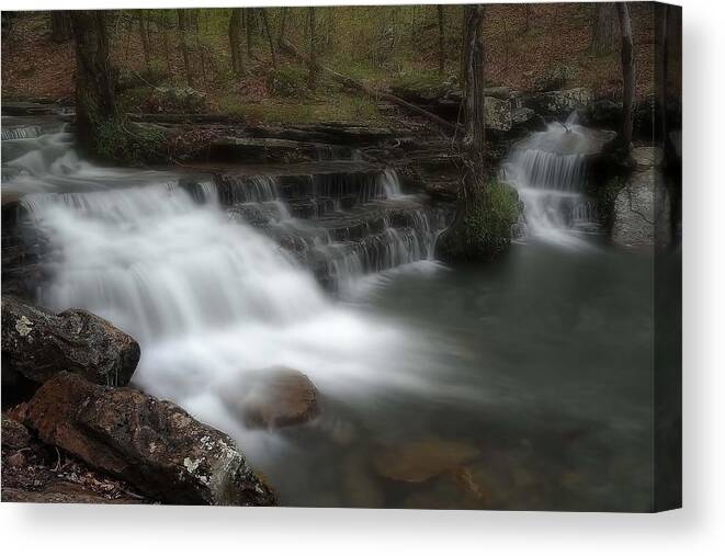 Forest Canvas Print featuring the photograph A Walk Through the Forest by Renee Hardison