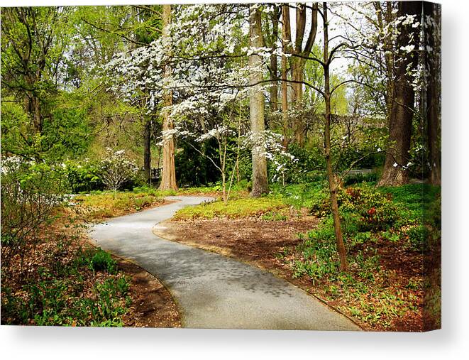 Gardens Canvas Print featuring the digital art A Walk to Remember by Trina Ansel