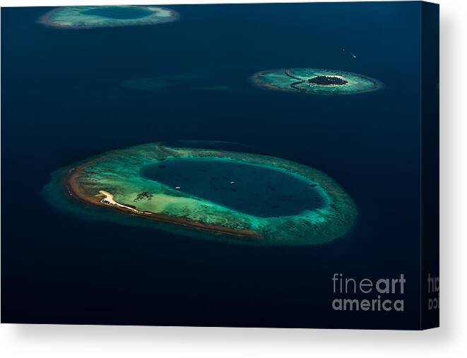 Atoll Canvas Print featuring the photograph Above Paradise - Turtle by Hannes Cmarits