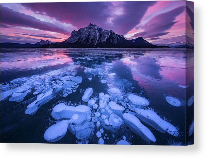 Purple Canvas Print featuring the photograph Abraham Lake 3 by April Xie