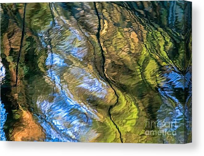 Abstract Canvas Print featuring the photograph Abstract of Nature by Kate Brown