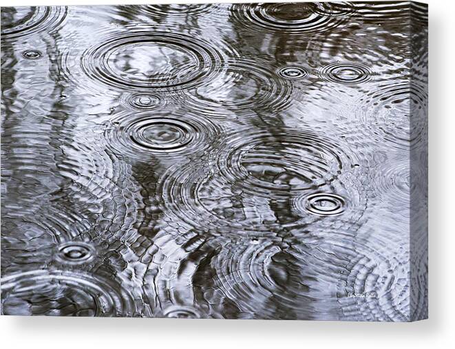 Water Canvas Print featuring the photograph Abstract Raindrops by Christina Rollo