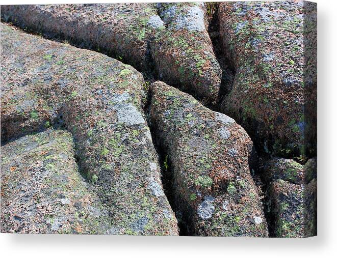 Acadia Canvas Print featuring the photograph Acadia Granite 19 by Mary Bedy