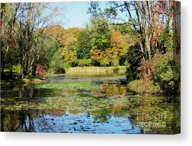 Leaves Canvas Print featuring the photograph Across the Pond by Kathie Chicoine