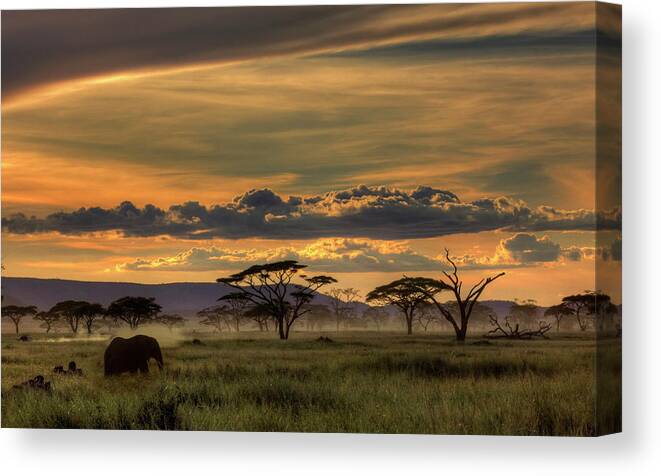 Tanzania Canvas Print featuring the photograph Africa by Amnon Eichelberg