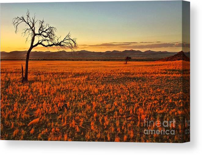 Landscape At Sunset Canvas Print featuring the photograph African Sunset by Kate McKenna
