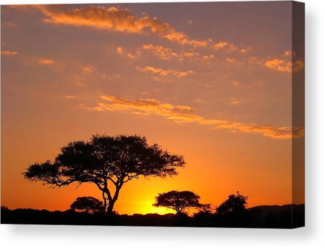 Africa Canvas Print featuring the photograph African Sunset by Sebastian Musial