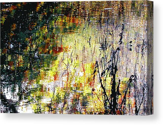 Bob Canvas Print featuring the photograph After the Flood by Merice Ewart