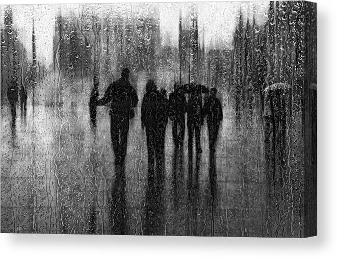 Rain Canvas Print featuring the photograph After The Rain by Roswitha Schleicher-schwarz