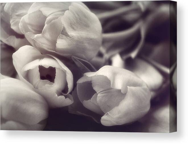 Floral Canvas Print featuring the photograph Afternoon Delight by Darlene Kwiatkowski