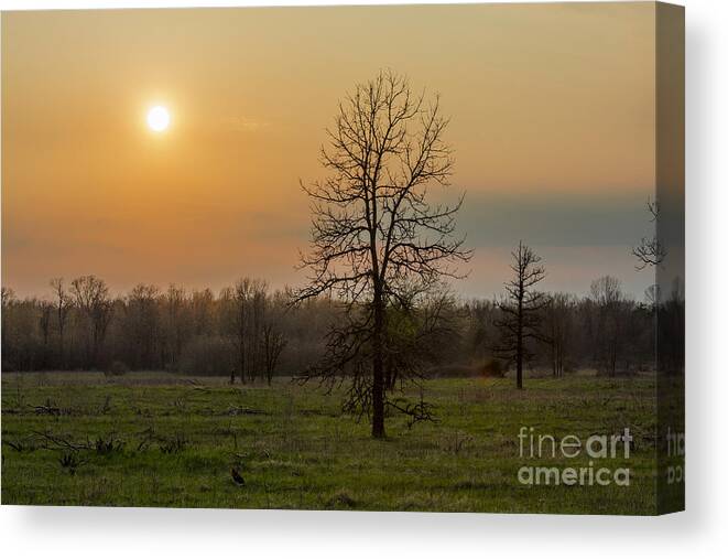Landscape Canvas Print featuring the photograph Aided By Fire by Dan Hefle