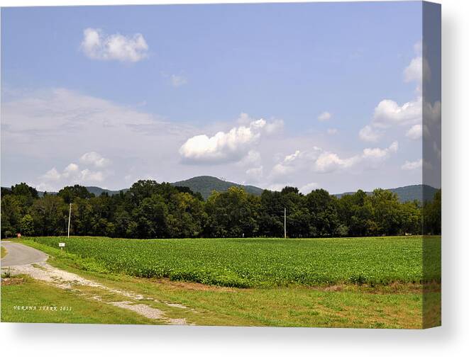 Alabama Canvas Print featuring the photograph Alabama Mountains 3 by Verana Stark