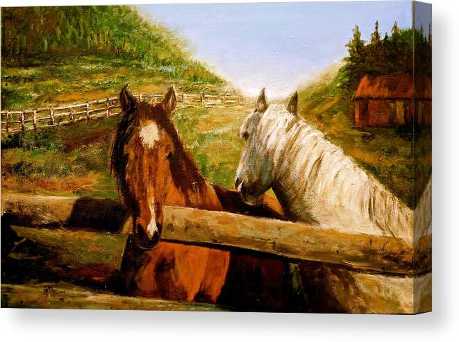 Horses Canvas Print featuring the painting Alberta Horse Farm by Sher Nasser