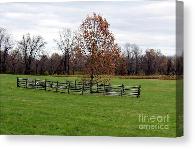 Field Canvas Print featuring the photograph All By Myself by Margaret Hamilton