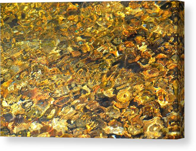 Abstract Canvas Print featuring the photograph All That Glitters by Deena Stoddard