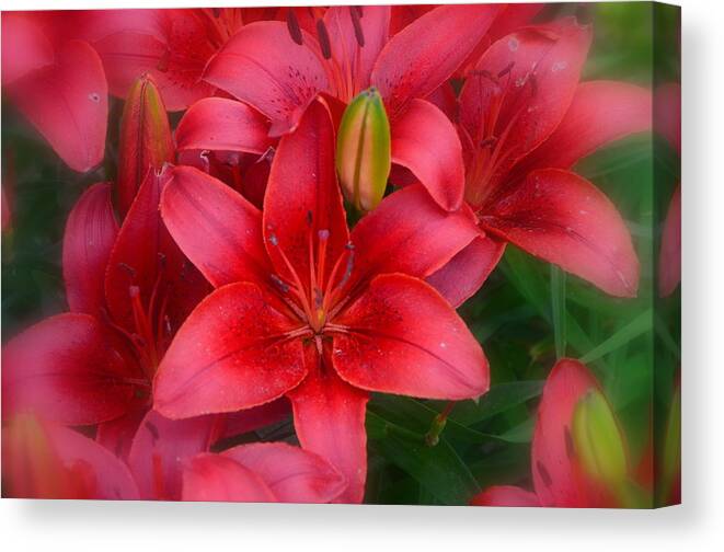 Day Lily Canvas Print featuring the photograph Alluring Mind...... by Tanya Tanski