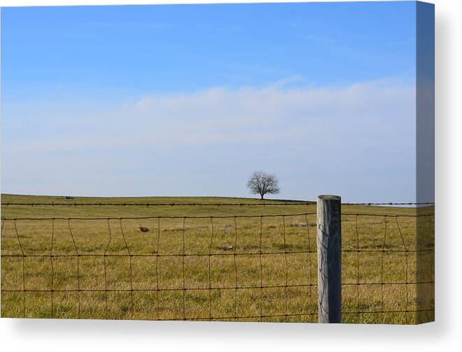 Tree Canvas Print featuring the photograph Alone or Standing Out by Cathy Shiflett