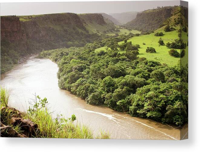 Biology Canvas Print featuring the photograph Amadiba Nature Reserve by Philippe Psaila