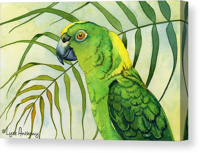 Watercolor Canvas Print featuring the painting Amazon by Lyse Anthony