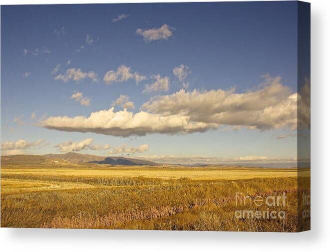 Photography Canvas Print featuring the photograph Amber Waves of Grain by Sean Griffin