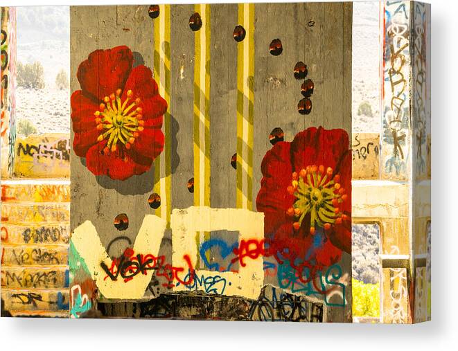 Graffiti Canvas Print featuring the photograph American Flat Artwork by Janis Knight