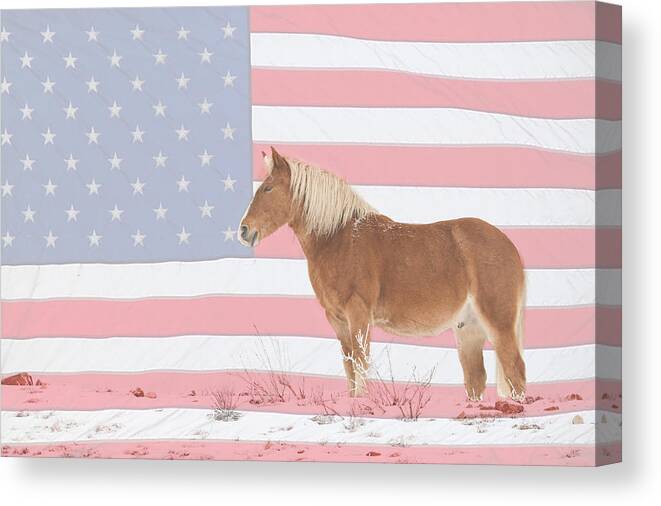 Palomino Canvas Print featuring the photograph American Palomino by James BO Insogna