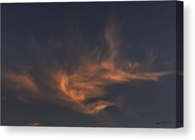 Mark Myhaver 2014 Canvas Print featuring the photograph An Evening Dance by Mark Myhaver