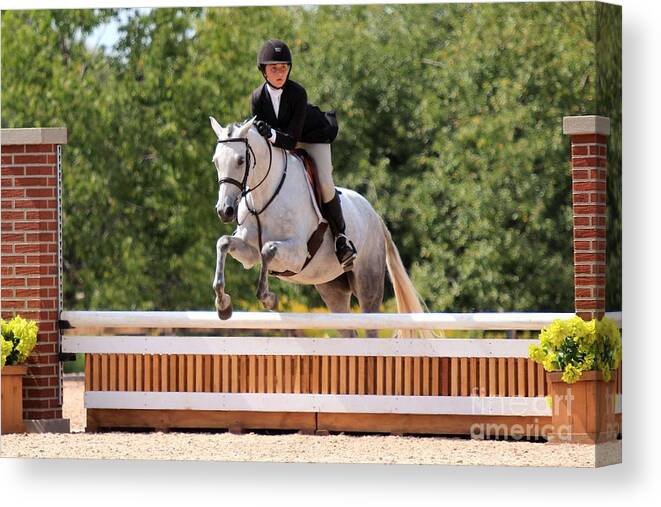 Horse Canvas Print featuring the photograph An-f-hunter22 by Janice Byer