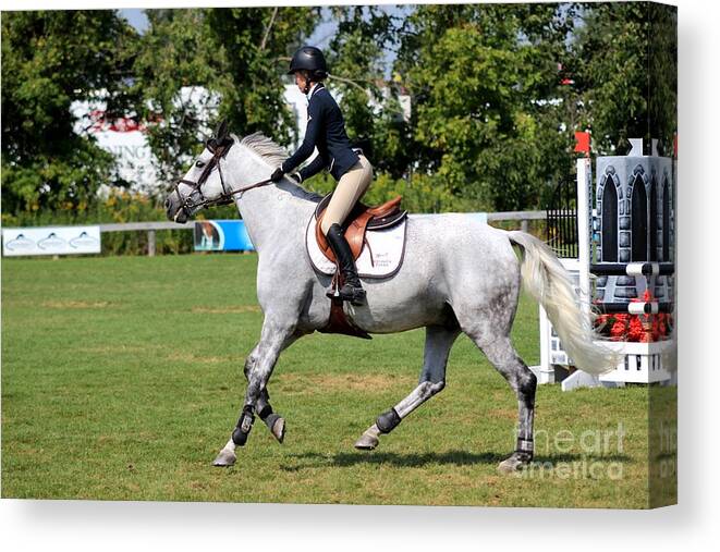 Horse Canvas Print featuring the photograph An-s-jumper24 by Janice Byer