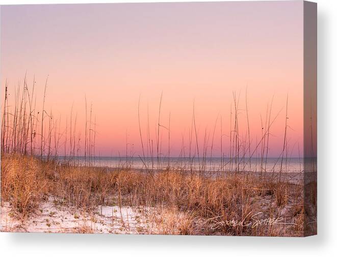 St. Augustine Canvas Print featuring the photograph Anastasia Beach Dunes sunset by Stacey Sather