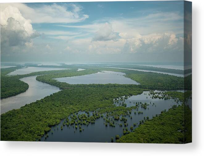 Archipelago Canvas Print featuring the photograph Anavilhanas Archipelago by Andre Pinto