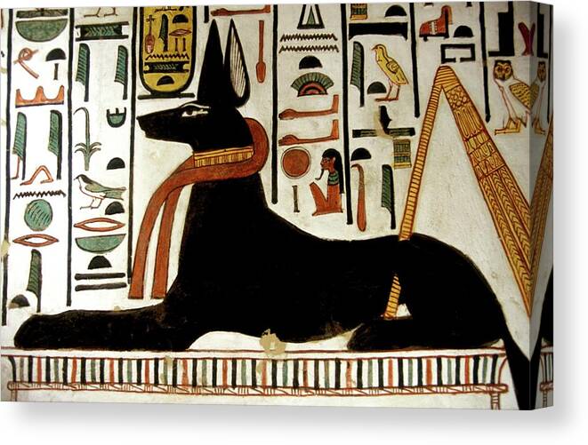 Anubis Canvas Print featuring the photograph Ancient Egyptian God Anubis by Patrick Landmann/science Photo Library