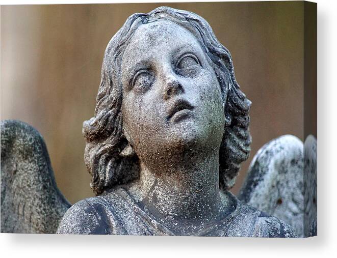 Angel Canvas Print featuring the photograph Angel in stone by Jolly Van der Velden