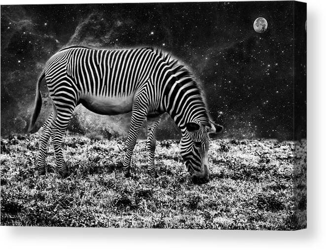 Animal Canvas Print featuring the photograph Animal Night by Kevin Cable