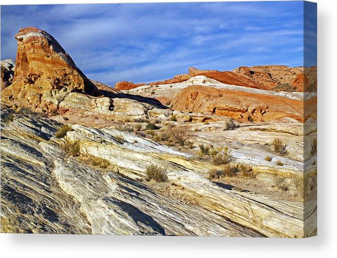 Nevada Canvas Print featuring the photograph Another World by Jennifer Robin