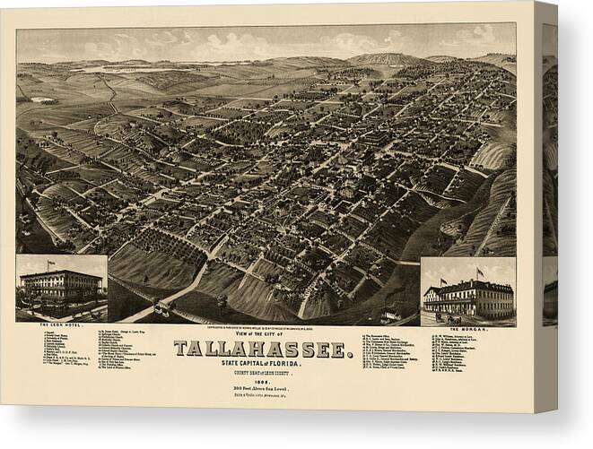 Tallahassee Canvas Print featuring the drawing Antique Map of Tallahassee Florida by H. Wellge - 1885 by Blue Monocle