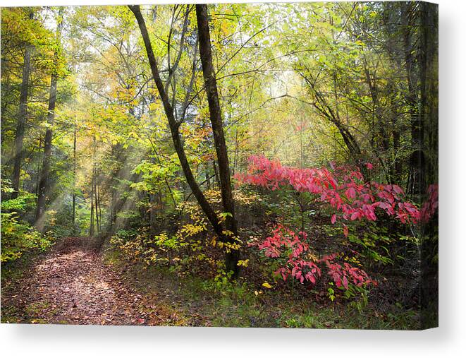 Trail Canvas Print featuring the photograph Appalachian Mountain Trail by Debra and Dave Vanderlaan