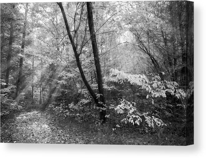 Appalachia Canvas Print featuring the photograph Appalachian Mountain Trail in Black and White by Debra and Dave Vanderlaan