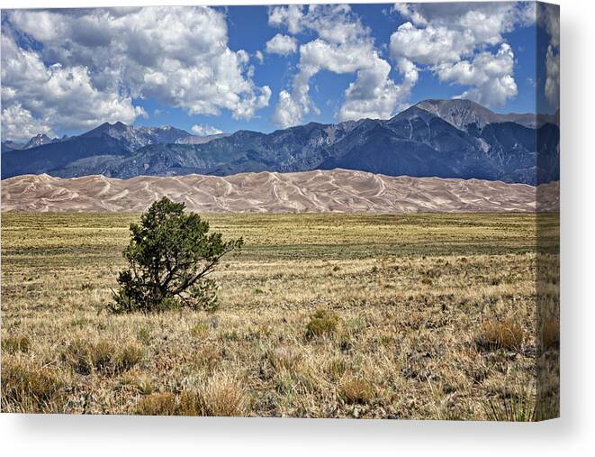 America Canvas Print featuring the photograph Approaching Great Sand Dunes #2 by Nikolyn McDonald